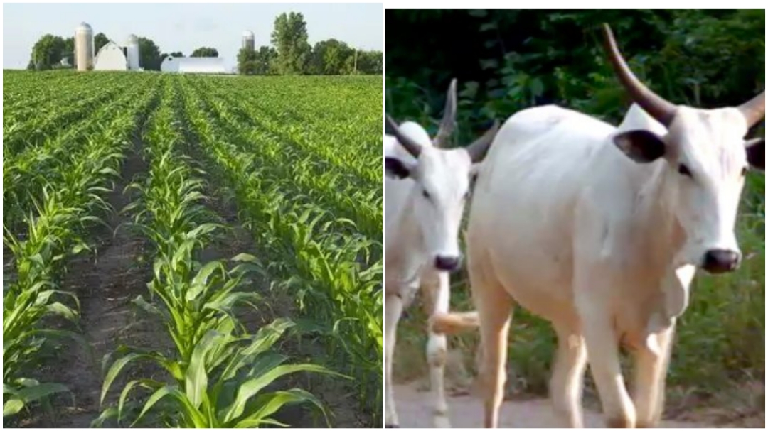 CollageMaker_2021325167191