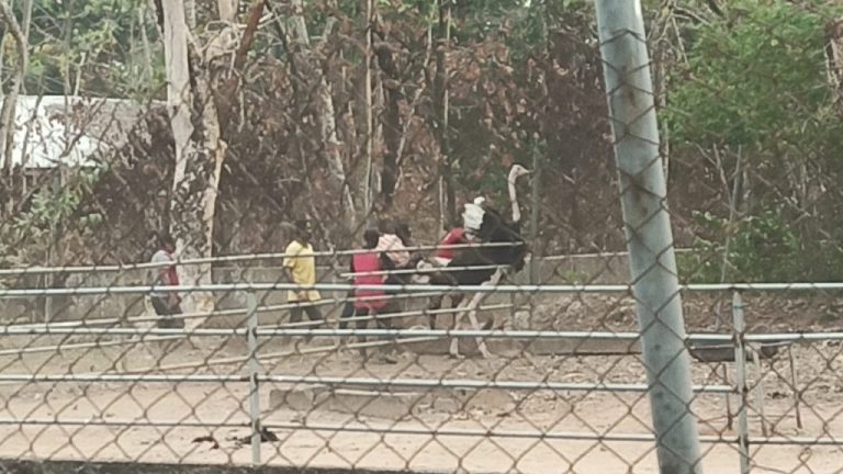 IMG-20230218-WA0145-1024x576