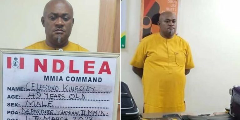 Kingsley-Celestino-Edited-800x400