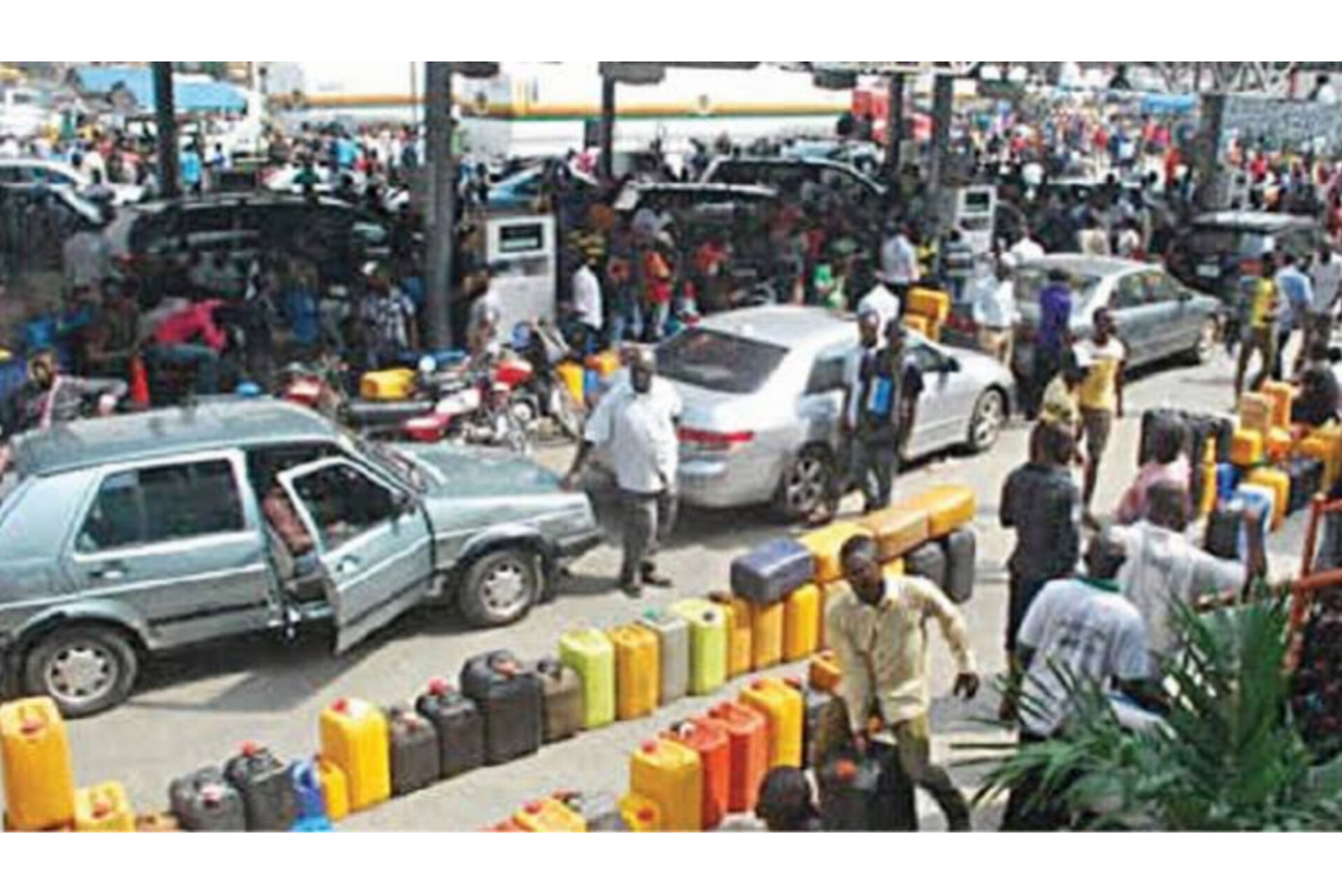 InShot_20240429_051931825