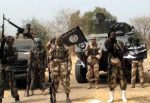 Boko Haram executes 2 Red Cross staff, women,  in viral video