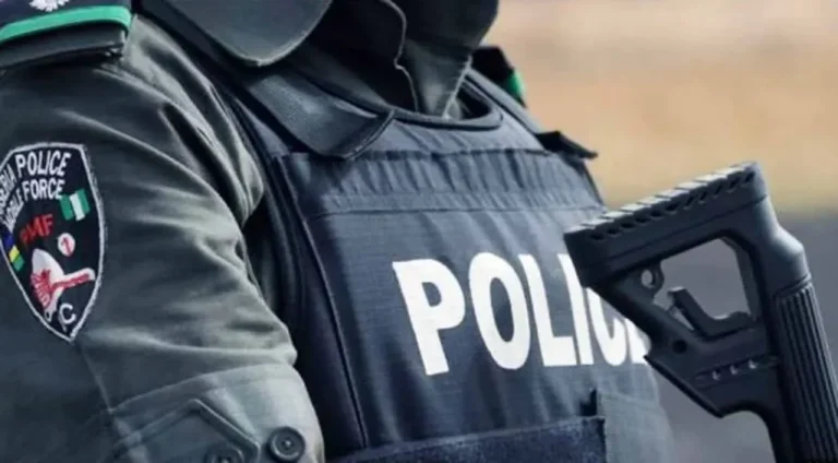 Nigerian-police-1024x565-1 (1)
