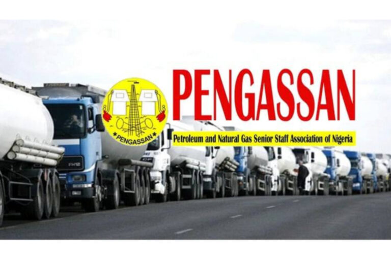 InShot_20250926_192101561-1