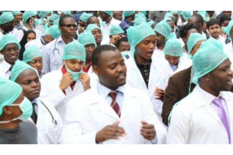 InShot_20251114_194544614