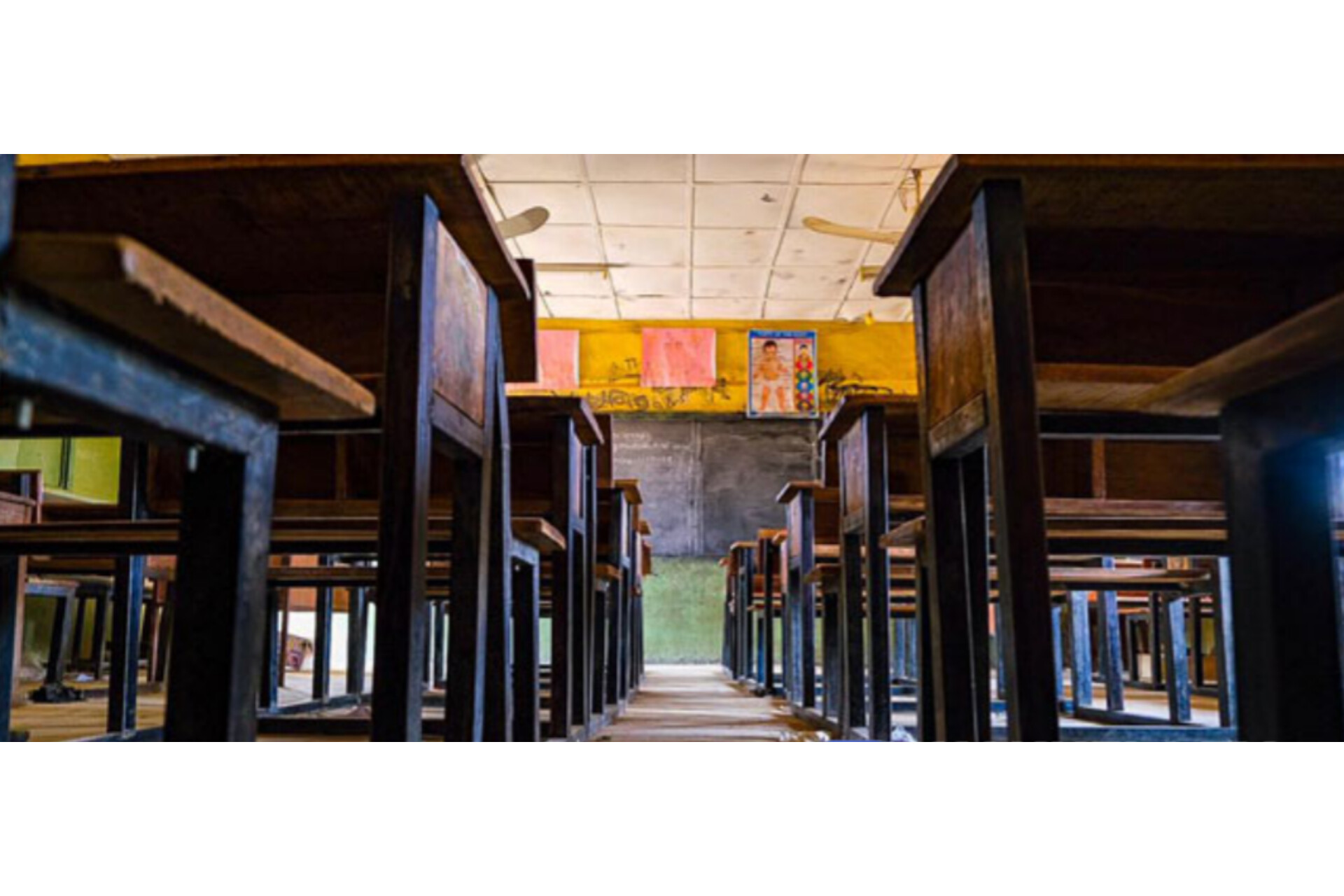 InShot_20251123_060621514