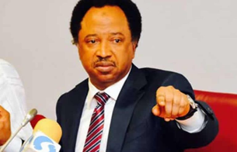 Shehu-Sani-1-768x493