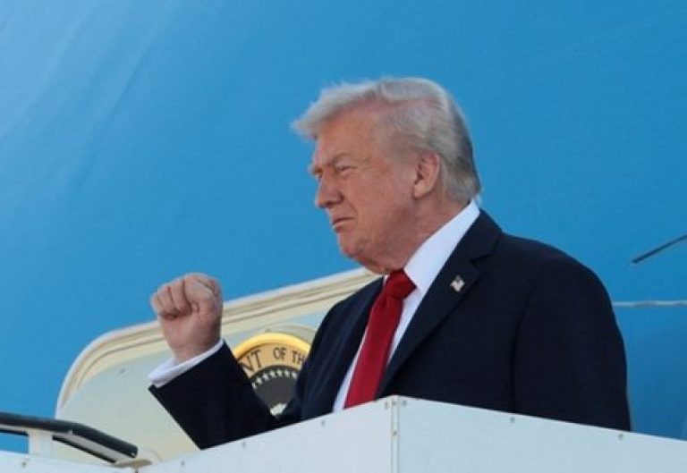 Trump-493x340-1-768x529