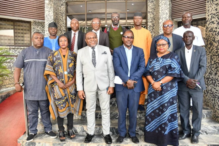 image_870x_691c9ead8fcbc