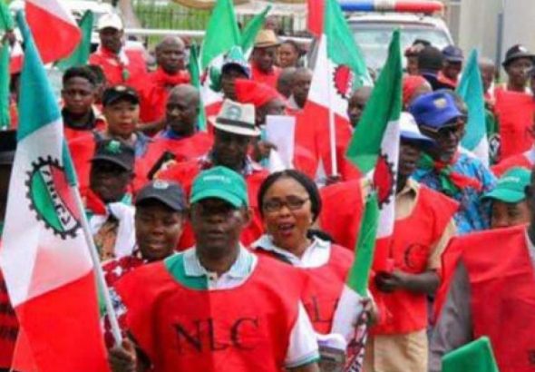 NLC-1062x598-1-768x432-2-1024x1024-1-1536x1536