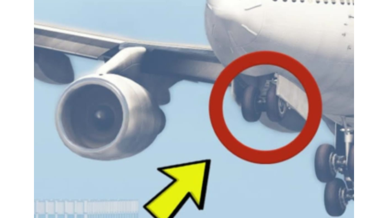 The-wheel-well-of-an-aircraft