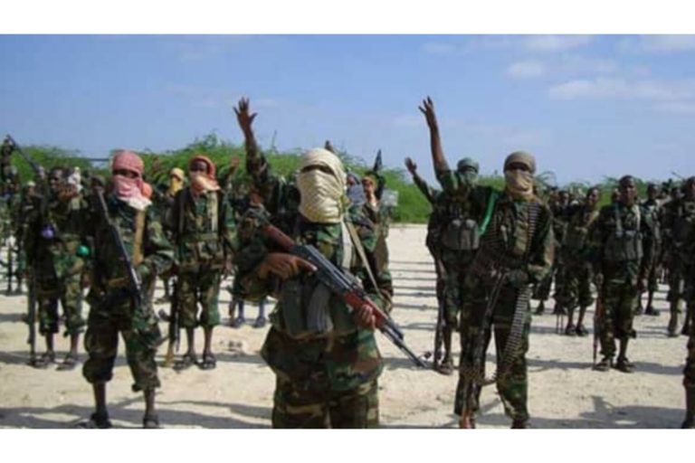 InShot_20260107_053827192