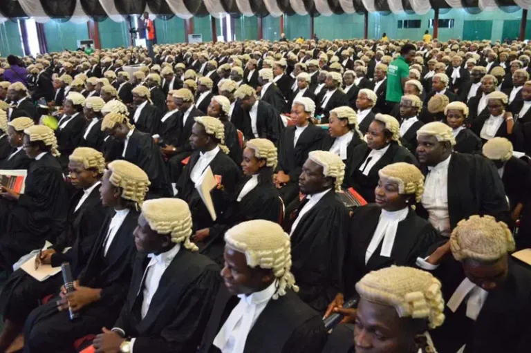 Nigerian-Lawyers (1)