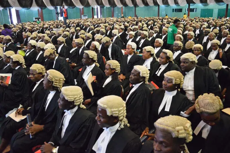 Nigerian-Lawyers (1)