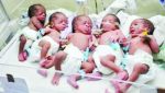 quintuplets2-768x433