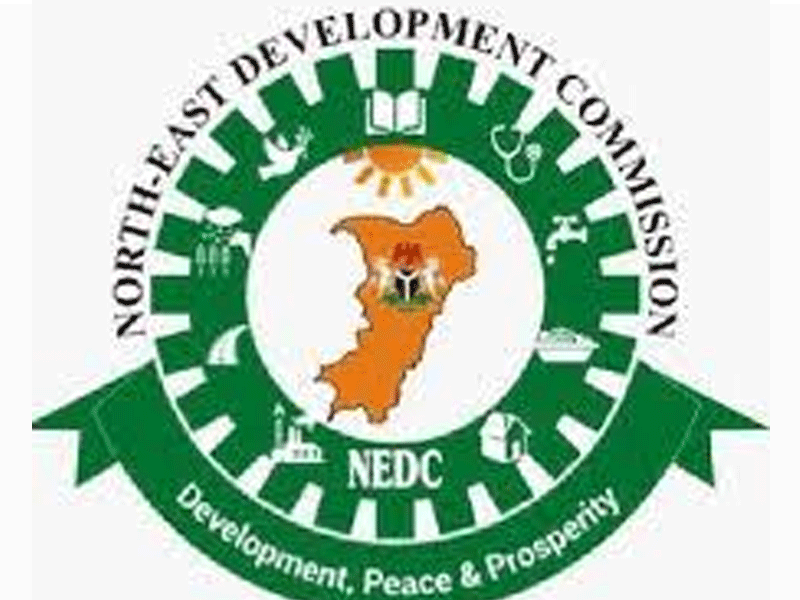 NEDC-1