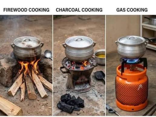 Firewood Cooking