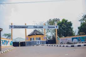 Ibadan college