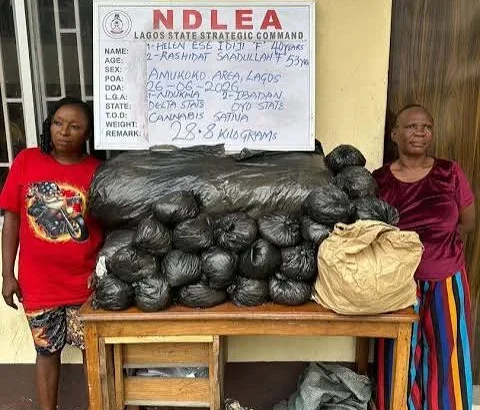 NDLEA Arrests