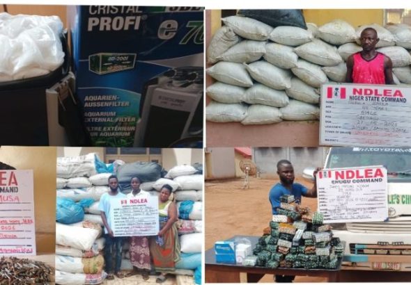 NDLEA Photos