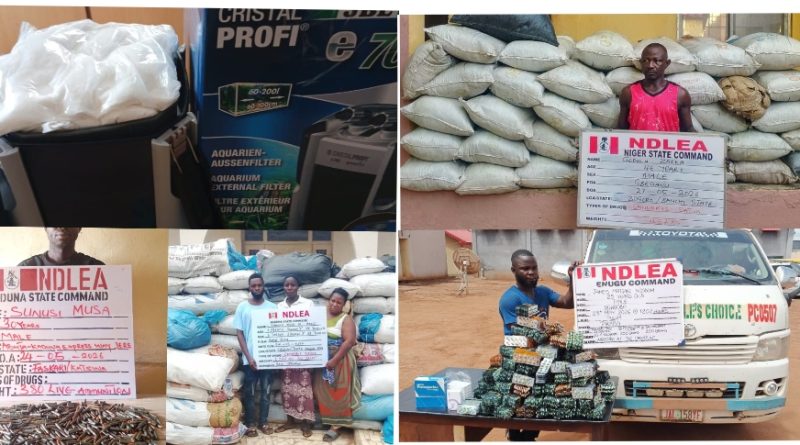 NDLEA Photos