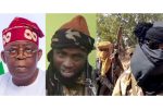 Tinubu Terrorist lawyer