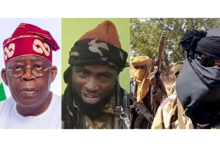 Tinubu Terrorist lawyer