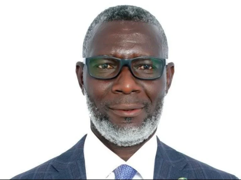 Ecowas guy