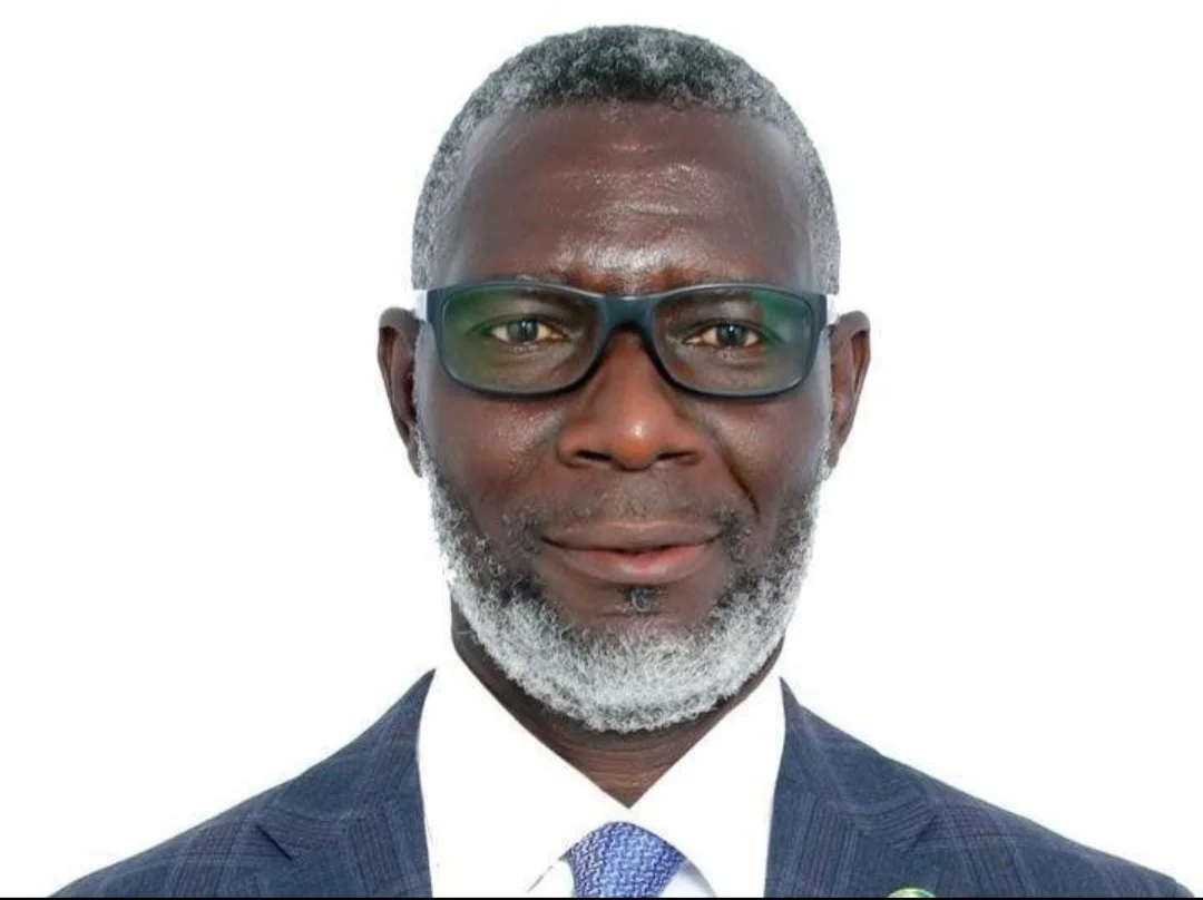 Ecowas guy