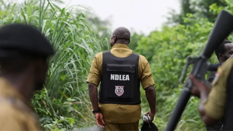 NDLEA