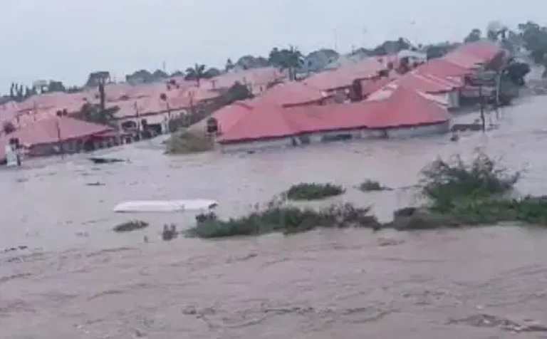 flood-768x476