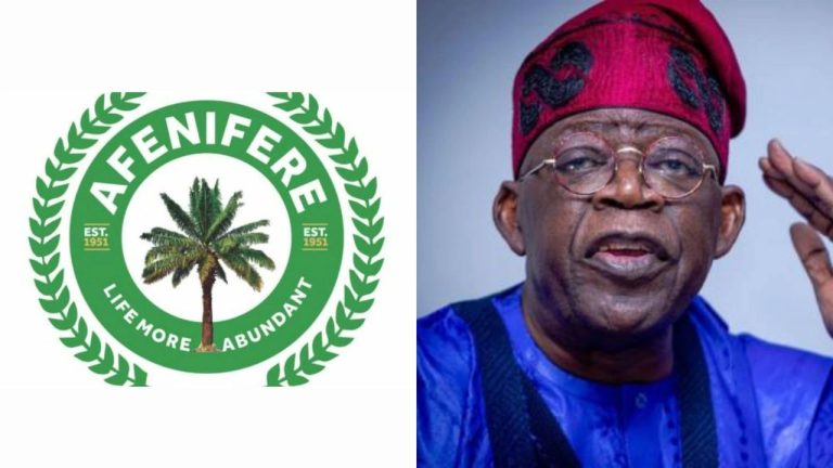 Afenifere Tinubu