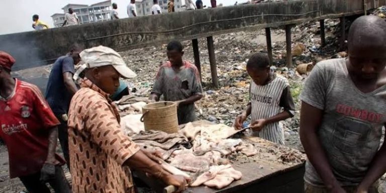 Lagos-promotes-waste-to-wealth-768x384