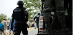 Police-mount