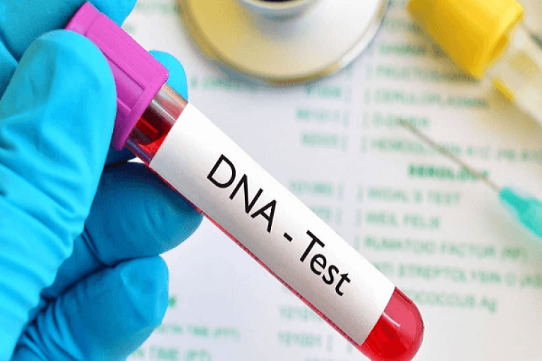 Smart-DNA-report-768x512