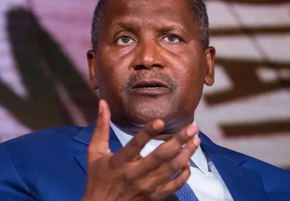 alike-dangote