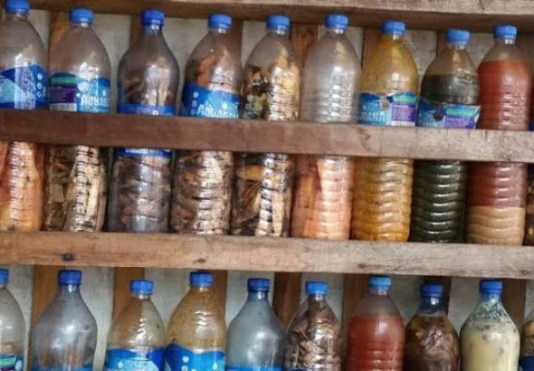Herbal drinks