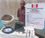 NDLEA IN EDO