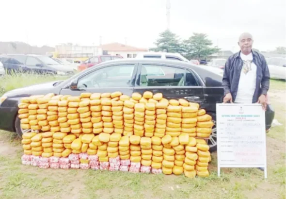 One-of-the-drug-suspects-arrested-by-the-NDLEA-officers-768x574