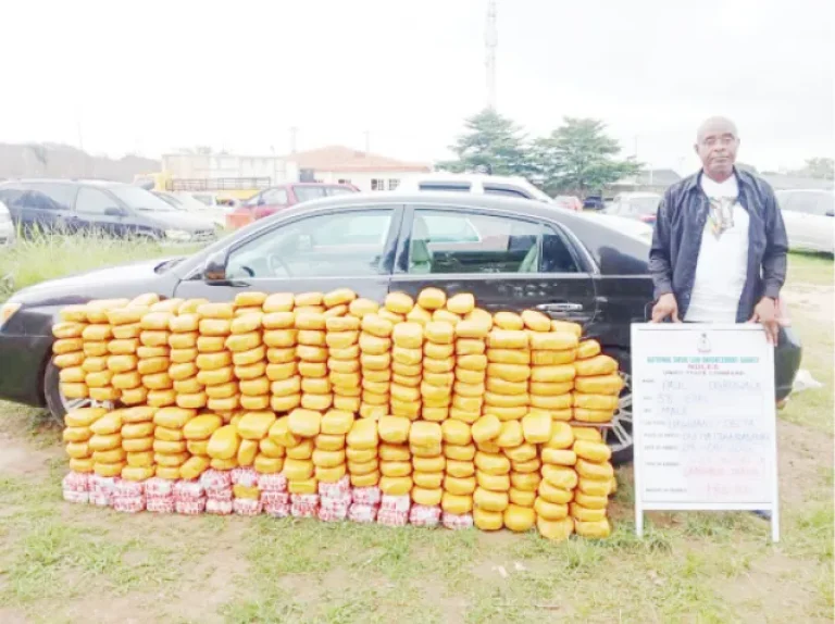 One-of-the-drug-suspects-arrested-by-the-NDLEA-officers-768x574
