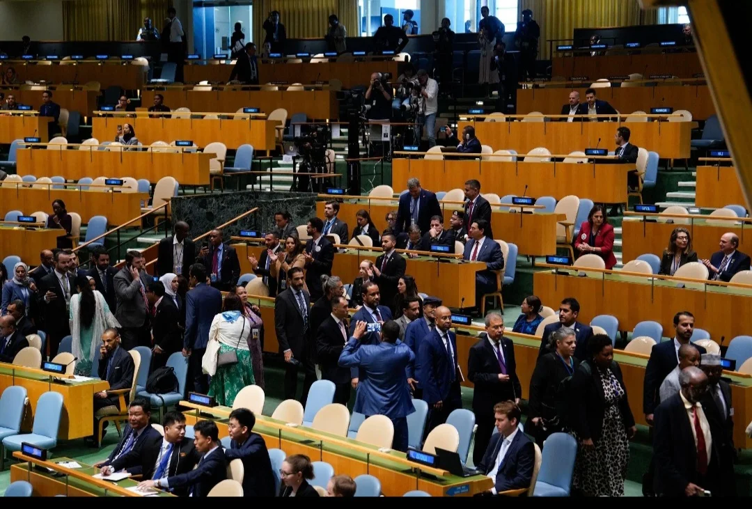 UN Delegates
