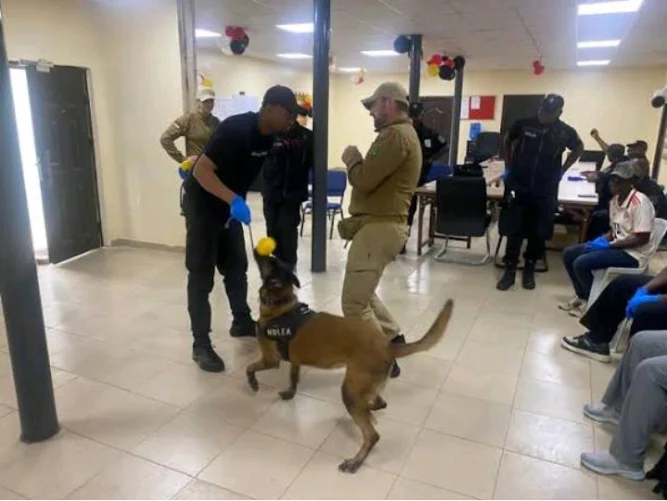 dog handlers