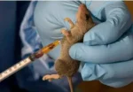 lassa-fever-768x532