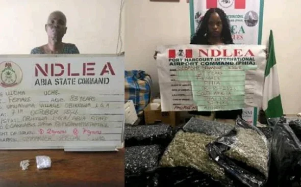 Cannabis suspects