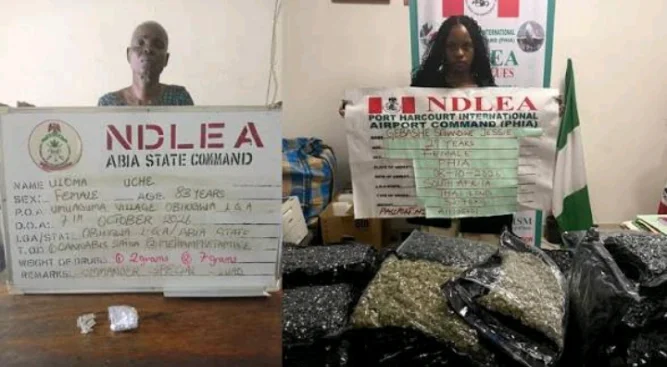 Cannabis suspects