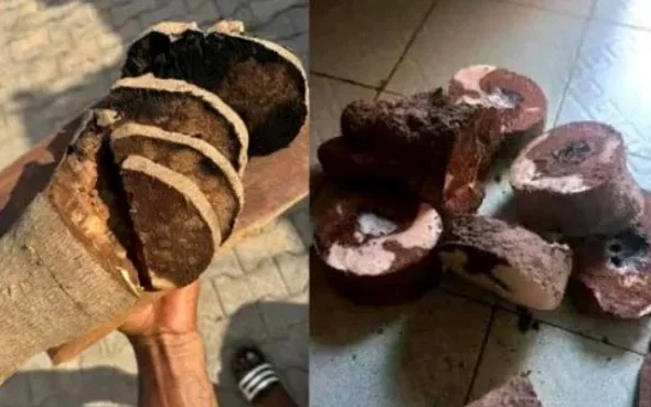 Dark Yams