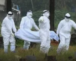 Ebola Abuja
