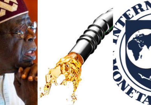 IMF petrol subsidy