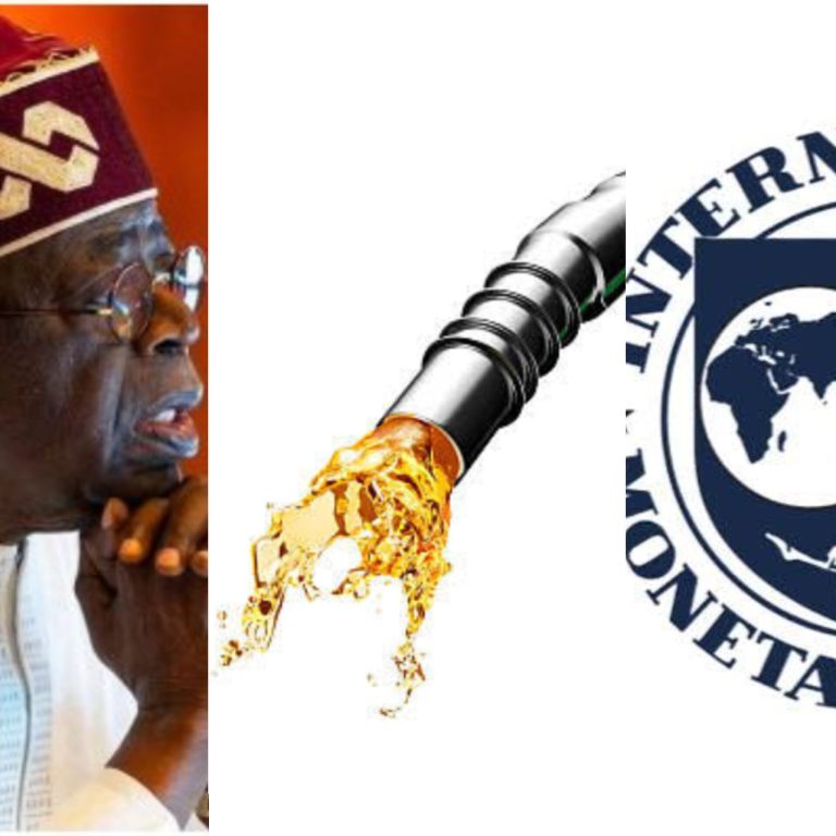 IMF petrol subsidy