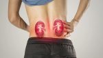 Kidney123-1536x864-1