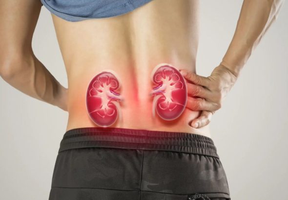 Kidney123-1536x864-1
